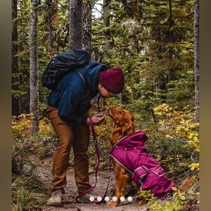 BRAND NEW: Wilderdog Raincoat for dogs (mult sizes/colors